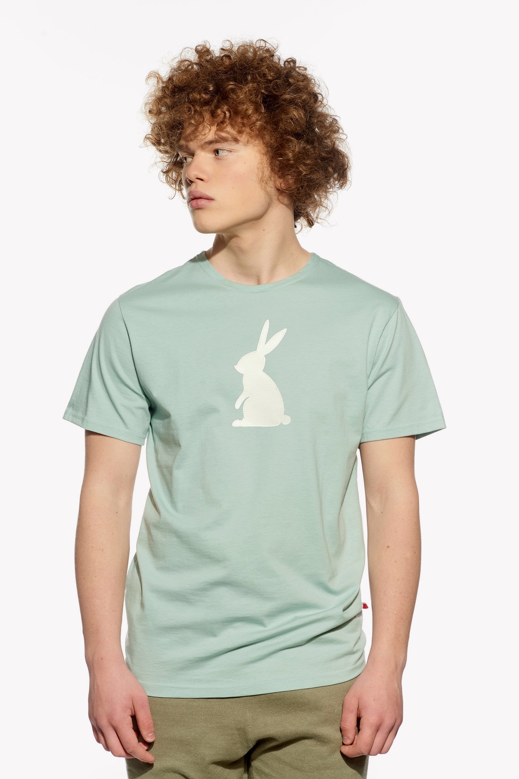 Shirt with rabbit