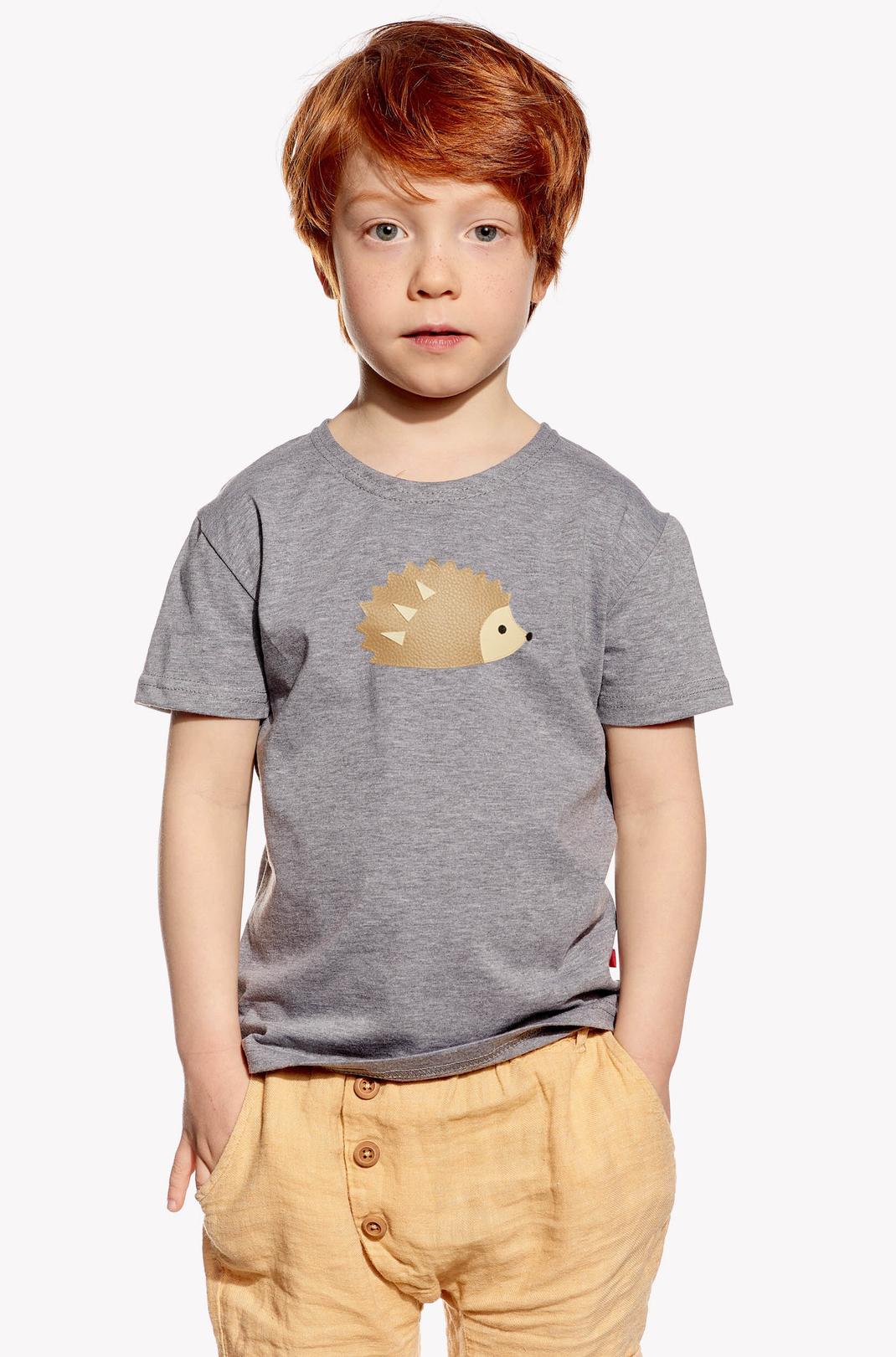 Shirt with hedgehog