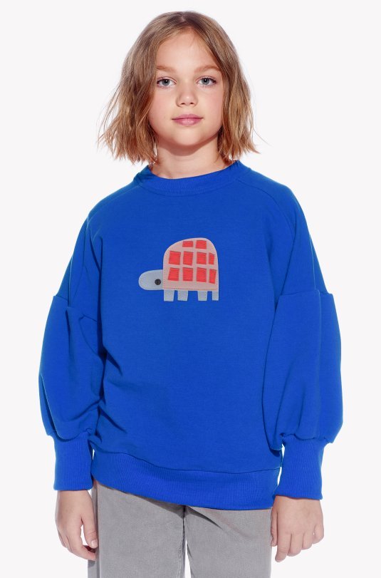 Hoodie with a turtle