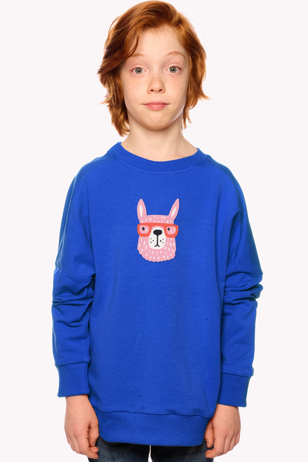 Hoodie with a llama