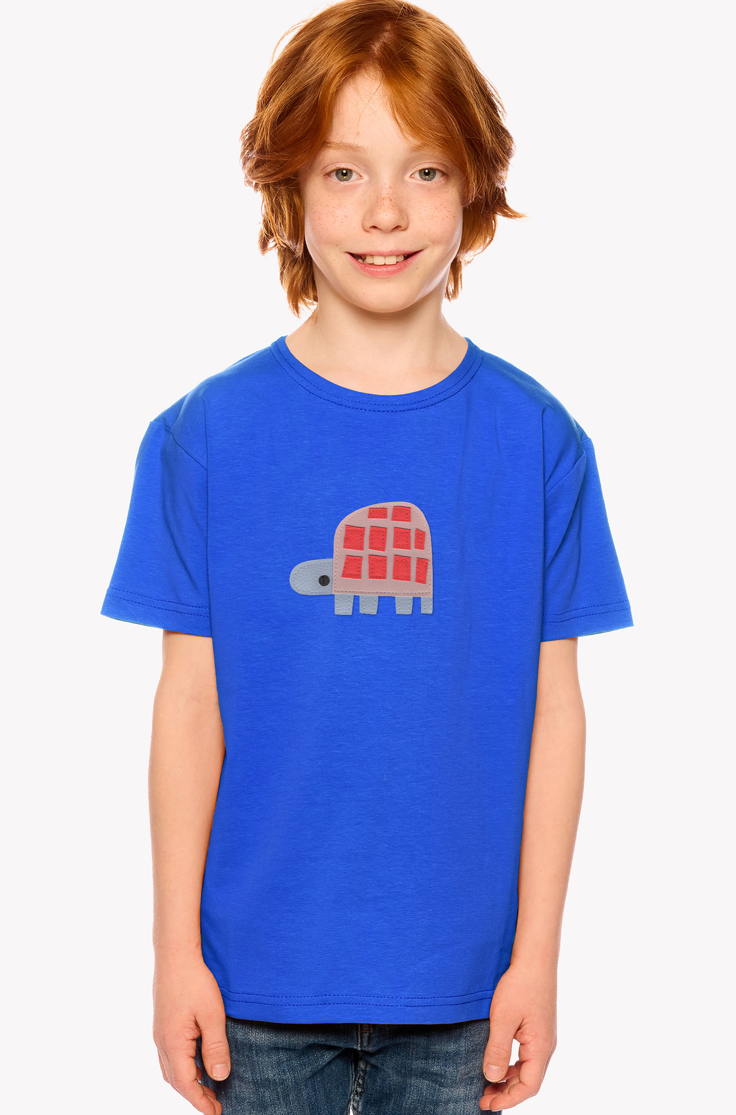 Shirt with a turtle